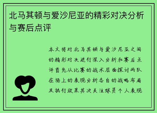 北马其顿与爱沙尼亚的精彩对决分析与赛后点评