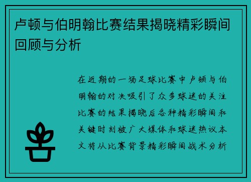 卢顿与伯明翰比赛结果揭晓精彩瞬间回顾与分析