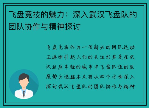 飞盘竞技的魅力：深入武汉飞盘队的团队协作与精神探讨