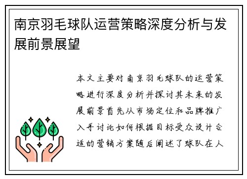 南京羽毛球队运营策略深度分析与发展前景展望
