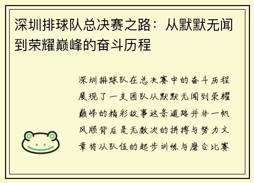 深圳排球队总决赛之路：从默默无闻到荣耀巅峰的奋斗历程