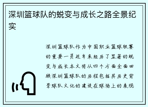 深圳篮球队的蜕变与成长之路全景纪实